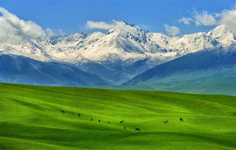 Wallpaper nature, mountains, Kazakhstan, steppe images for desktop, section пейзажи - download