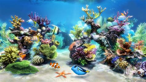 Coral Reef Live Wallpaper (59+ images)