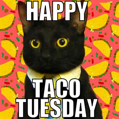 Happy Taco Tuesday Funny