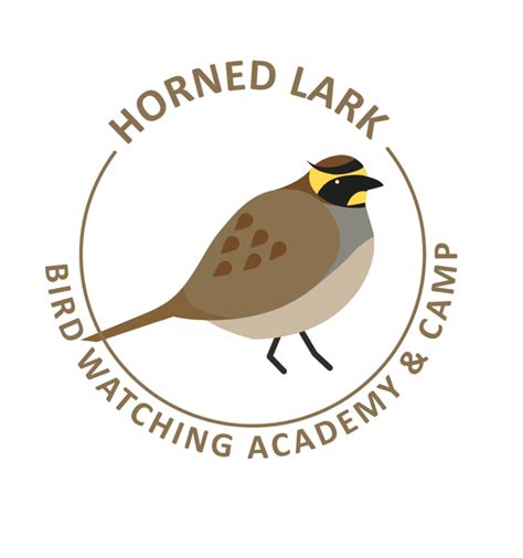 Horned Lark - Bird Watching Academy