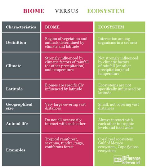 Biome VERSUS Ecosystem | Difference Between | Biome VERSUS Ecosystem