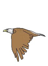 Animated Eagle - ClipArt Best