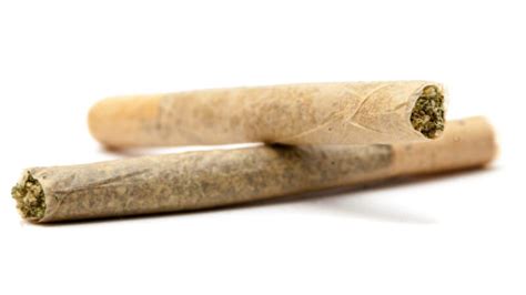 Cannabis Dictionary: Joint — Northern Light Cannabis Co.