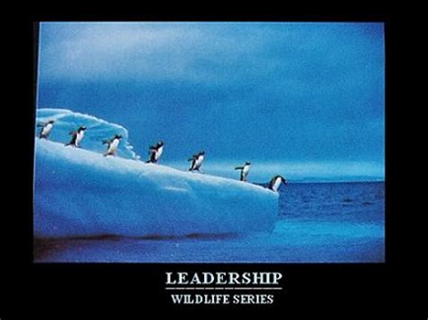 Leadership (In a Cheesy Poster) - Leadership 11