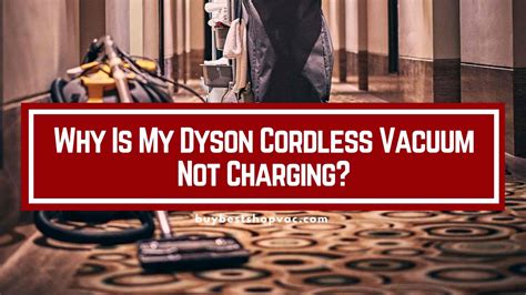 Reasons Why Is My Dyson Cordless Vacuum Not Charging? – Buy Best Shop Vac