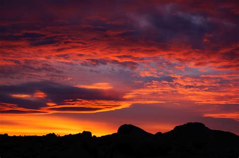 Desert Sunset at Joshua Tree National Park - Anne McKinnell Photography