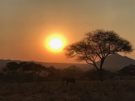 A very African scene | African sunset, Sunset, Celestial