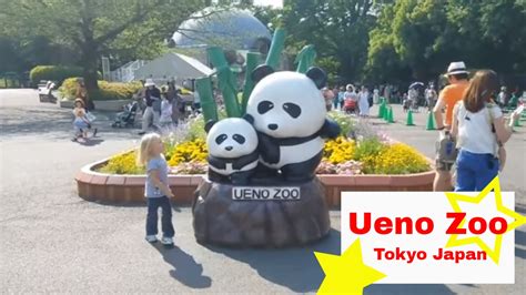 Ueno Zoo Tokyo Japan 🐘🐼🐧 - YouTube