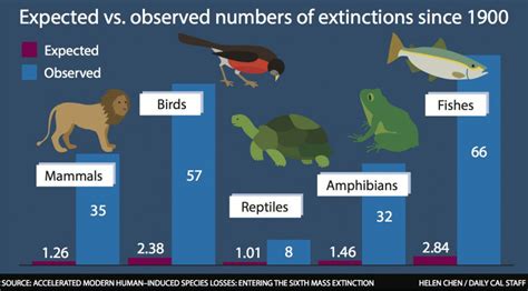 Study Identifies 6th Mass Extinction Event, Lists Human Activity as Primary Cause | National ...