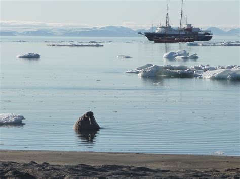 Climate information systems in the Arctic Ocean: use and implications - WUR