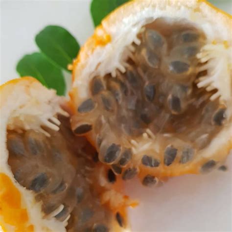 Granadilla | Healthy dessert recipes, Diet and nutrition, Nutrition