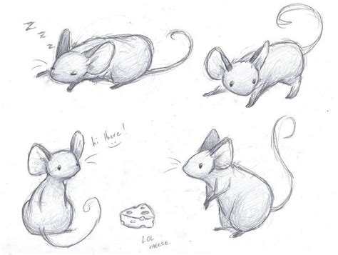 Mice Sketches by sleighbelles on deviantART | Mouse sketch, Mouse drawing, Sketches