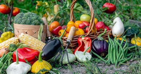 30 Fall Vegetables To Plant In Your Garden For A Flavorful Winter