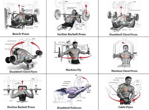 39++ Chest workout for mass intense | absworkoutroutine