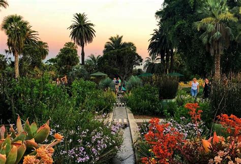 5 Gorgeous Botanical Gardens In L.A. To Wander Through This Spring - Secret Los Angeles