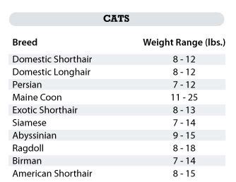 cat weight chart Archives - My Kitty CareMy Kitty Care