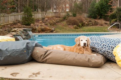 Waterproof Dog Bed | AKC Shop