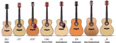 The Different Types of Acoustic Guitars Explained