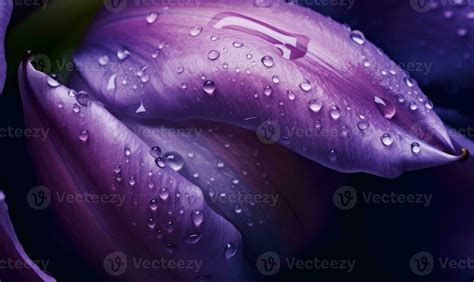 Purple petals wallpaper. Flower detail background. For postcard, book illustration. Created with ...