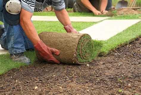 Ottawa Sod Removal Service - Sod Cutting, Disposal Service