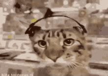 Vibing Cat With Headset GIF - Vibing Cat With Headset - Discover & Share GIFs