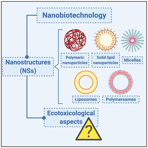 Different types of nanostructures (NSs) have been applied in ...