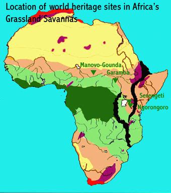 Savanna Biome World Map – Interactive Map