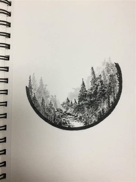 Pen and ink sketch of a forest scene : r/drawing