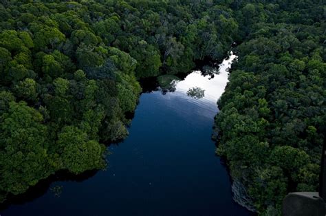 Brazil Highlights: Rio de Janeiro, Iguaçu Falls & Amazon Rainforest ...