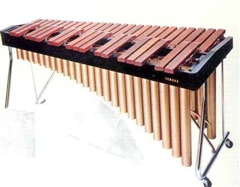 Xylophone instrument