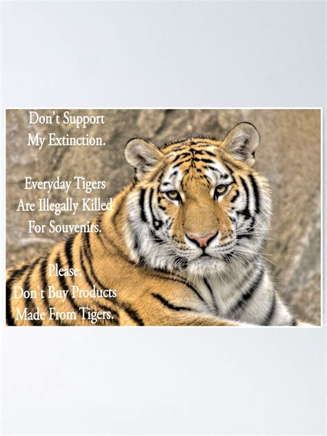 Save Tiger Poster For Kids