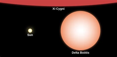 Super Red Giant Stars Scale