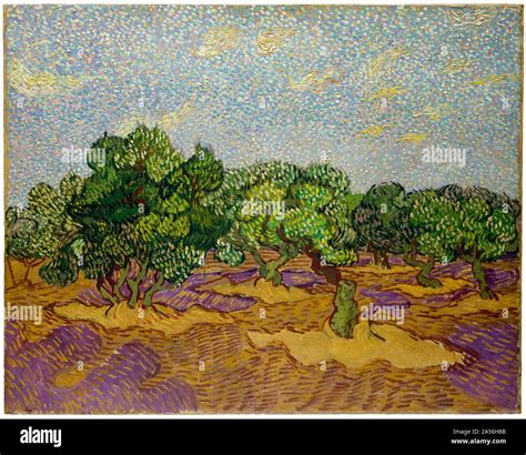 Vincent van Gogh, landscape painting, Olive Trees, 1889 Stock Photo - Alamy