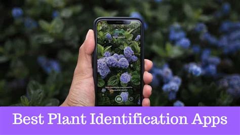 Best Plant Identification Apps - EducationalAppStore