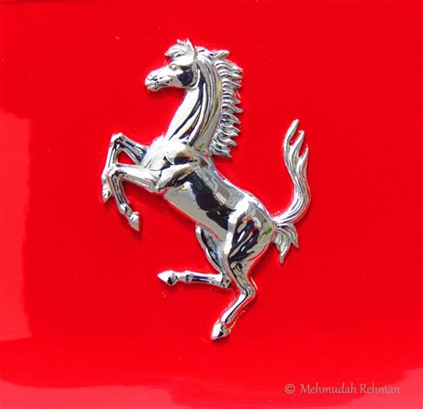 Red Ferrari Horse Logo - LogoDix