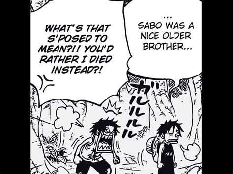 Zoro understands Luffy | Zoro, Luffy, Understanding