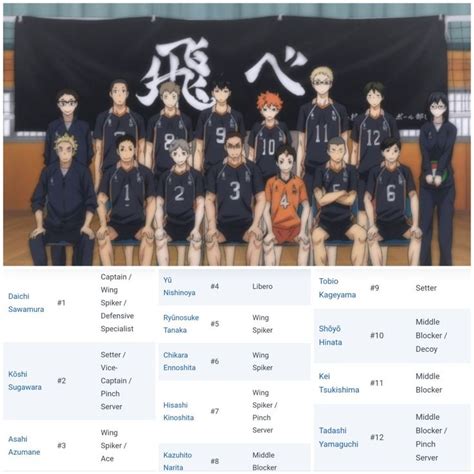 Karasuno players and their positions #Haikyuu | Haikyuu, Pallavolo ...