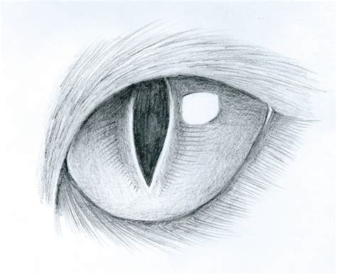 Realistic Cat Eye Drawing