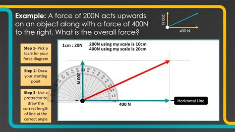 Force Vectors Worksheet