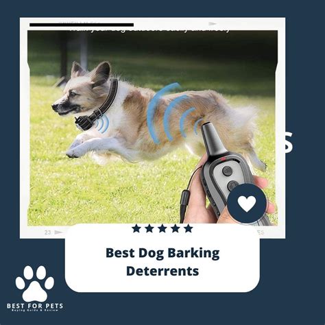 The 12 Best Dog Barking Deterrents of 2022