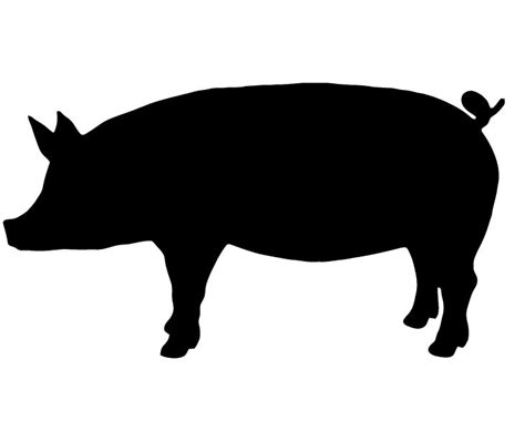 Show Pig Silhouette - ClipArt Best