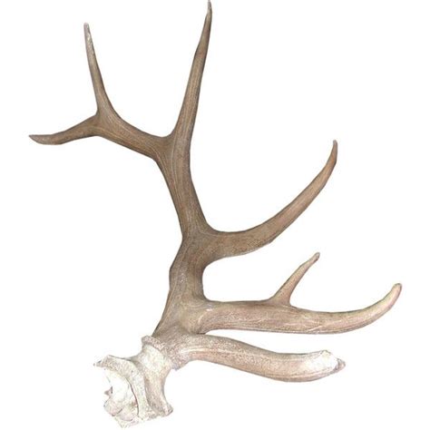 Elk Antlers Drawing at GetDrawings | Free download