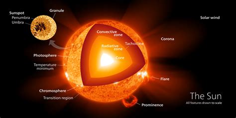 What are the Parts of the Sun? - Universe Today