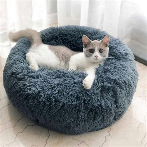 Tucker Murphy™ Pet Luxury Fluffy Pet Bed For Cats Round Cat Bed Cuddler Plush Cozy Self-Warming ...