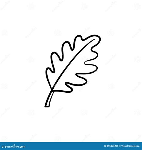 Simple Oak Leaf Outline