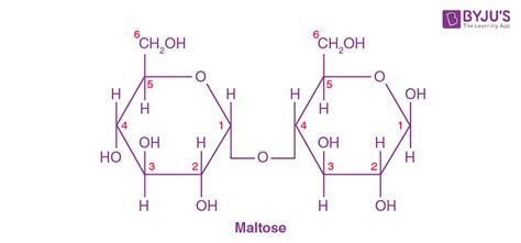 Maltose Structure, Formula, Properties, Production, Uses | atelier-yuwa.ciao.jp