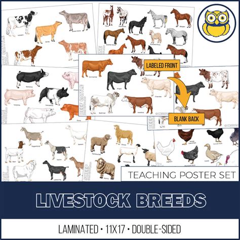 Livestock Breeds Posters, Set of 7 - One Less Thing