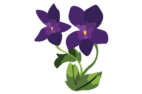 Illinois State Flower - Viola SVG Cut file by Creative Fabrica Crafts · Creative Fabrica