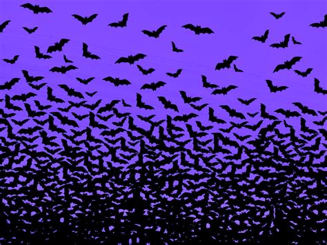 Halloween Bats Background