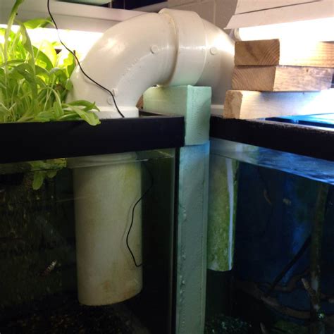 Aquaponics + Trout in the Classroom : 4 Steps - Instructables